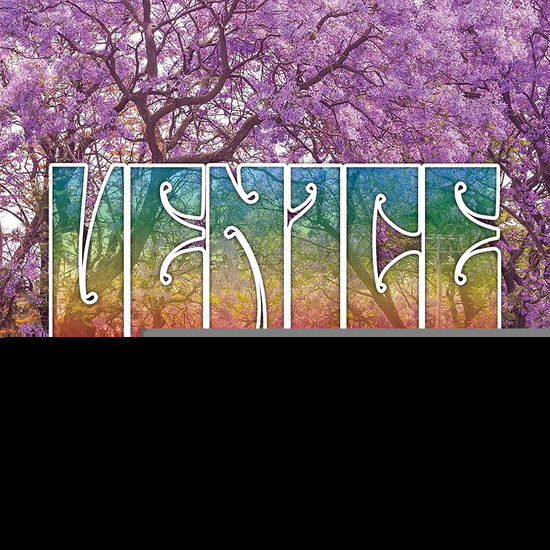 Jacaranda Street - Venice - Music - P-VINE RECORDS CO. - 4995879249161 - March 4, 2020
