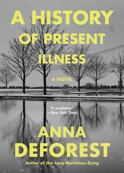 Cover for Anna DeForest · A History of Present Illness : A Novel (Paperback Book) (2024)