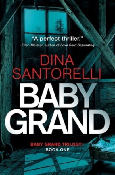 Cover for Dina Santorelli · Baby Grand (Paperback Book) (2018)