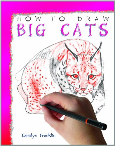 Cover for Carolyn Franklin · How to Draw Big Cats (Hardcover Book) (2008)