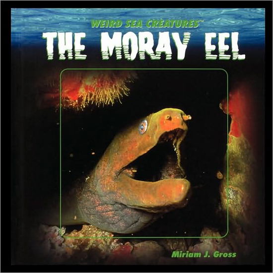 Cover for Miriam Gross · The Moray Eel (Paperback Book) (2006)