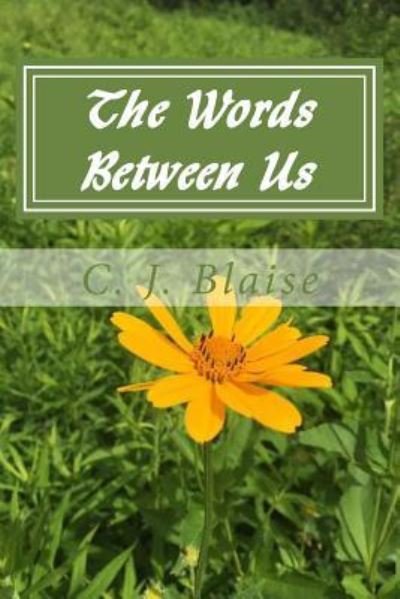 Cover for C J Blaise · The Words Between Us (Paperback Bog) (2017)