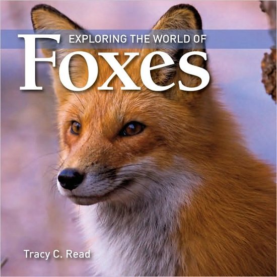 Tracy C. Read · Exploring the World of Foxes (Paperback Bog) (2013)