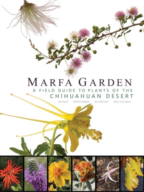 Marfa Garden: A Field Guide to Plants of the Chihuahuan Desert - Jim Martinez - Books - Trinity University Press,U.S. - 9781595343161 - December 19, 2024