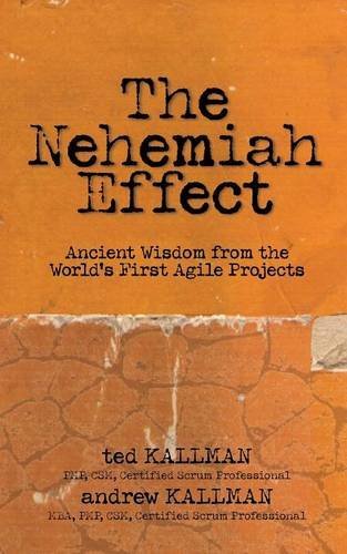 Cover for Pmp Csm Csp Kallman · The Nehemiah Effect (Paperback Book) (2014)