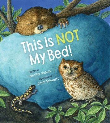 Cover for Jennifer Dupuis · This Is Not My Bed! (Hardcover Book) (2025)