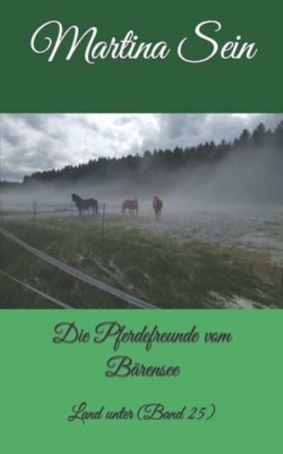 Cover for Martina Sein · Die Pferdefreunde vom Barensee (Paperback Book) (2019)