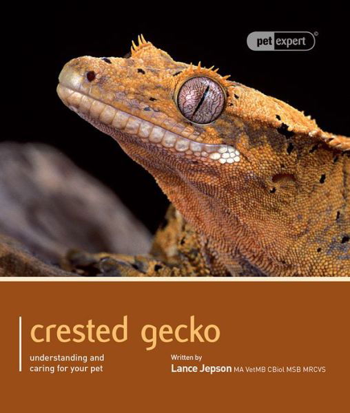 Cover for Lance Jepson · Crested Gecko - Pet Expert: Understanding and Caring for Your Pet - Pet Expert (Paperback Book) (2011)