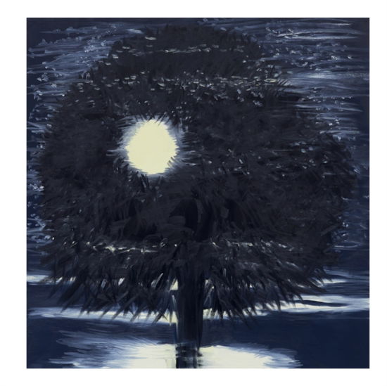 Cover for Ann Craven: Night (Hardcover Book) (2025)