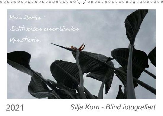 Cover for Korn · Silja Korn - Blind fotografiert (W (Book)