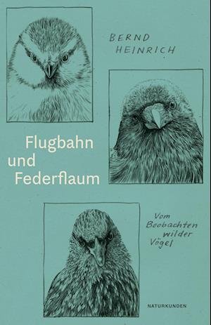 Cover for Bernd Heinrich · Flugbahn und Federflaum (Bog) (2023)