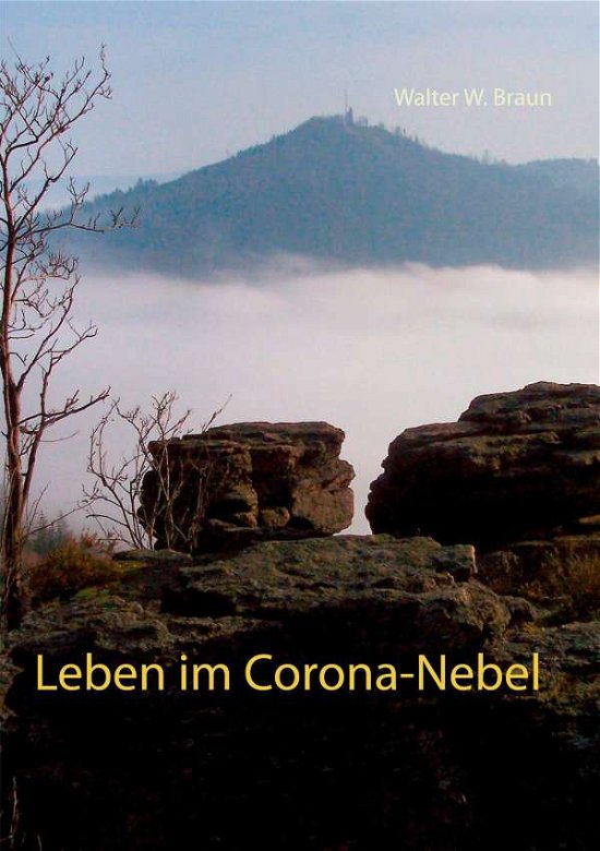 Cover for Braun · Leben im Corona-Nebel (Bog) (2020)