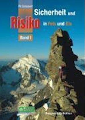 Cover for Schubert · Sicherheit u.Risiko in Fels.1 (Book)
