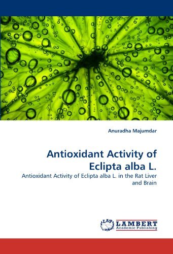 Antioxidant Activity of Eclipta Alba L.: Antioxidant Activity of Eclipta Alba L. in the Rat Liver and Brain - Anuradha Majumdar - Books - LAP LAMBERT Academic Publishing - 9783844397161 - May 16, 2011