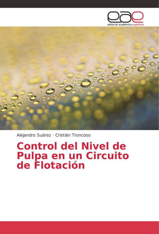 Cover for Suárez · Control del Nivel de Pulpa en un (Buch)