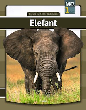 Cover for Sigurd Toftdahl Terkelsen · Fakta 1: Elefant (Hardcover Book) [1st edition] (2022)