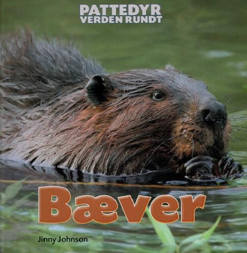 Cover for Jinny Johnson · Pattedyr verden rundt: Pattedyr verden rundt: Bæver (Innbunden bok) [1. utgave] (2016)