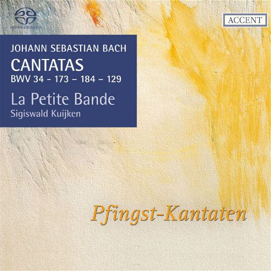 Cantatas Complete Liturgical Yr - Vol16 - La Petite Bande - Musique - ACCENT - 4015023253162 - 17 juin 2013