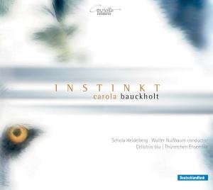 Instinkt / Kugel / Gerauschtone - Bauckholt - Musik - COVIELLO CLASSICS - 4039956609162 - 2011