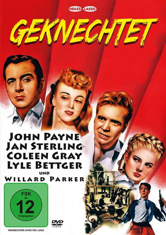 Cover for John Payne · Geknechtet (DVD) (2018)