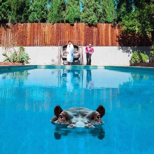 Cover for Sparks · Hippopotamus (CD) [Bonus Tracks edition] (2017)