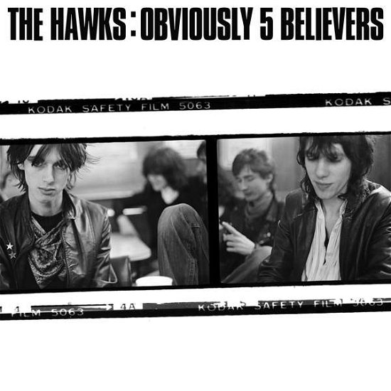 Hawks · Obviously 5 Believers (LP) (2021)