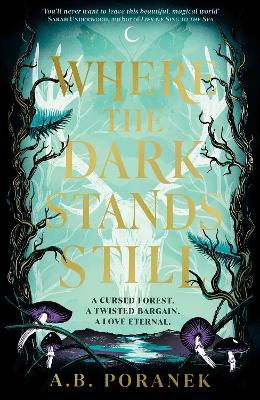 Cover for A. B. Poranek · Where the Dark Stands Still (Paperback Book) (2024)
