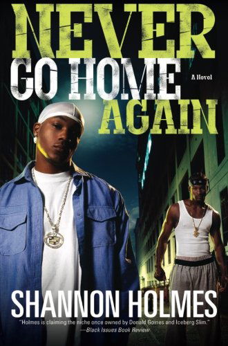 Cover for Shannon Holmes · Never Go Home Again: a Novel (Paperback Book) [Reprint edition] (2005)