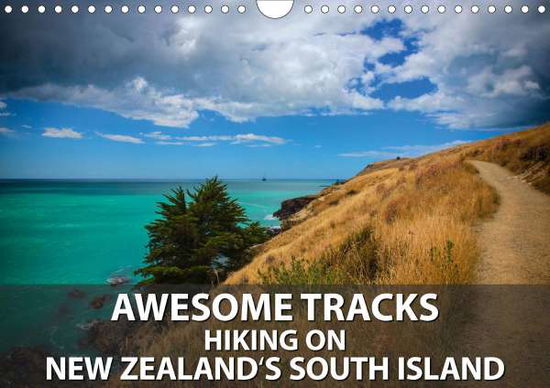 Cover for Bort · Awesome Tracks Hiking on New Zeala (Book)