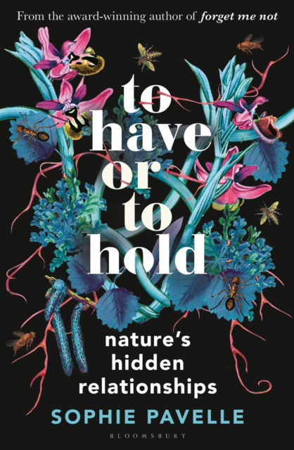 To Have or To Hold: Nature's Hidden Relationships - Sophie Pavelle - Books - Bloomsbury Publishing PLC - 9781399412162 - May 8, 2025