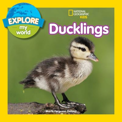 Cover for Marfe Ferguson Delano · Explore My World: Ducklings - Explore My World (Hardcover Book) (2017)