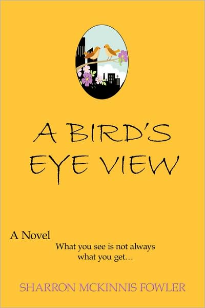 Cover for Sharron Mckinnis Fowler · A Bird's Eye View: What You See is Not Always What You Get (Paperback Book) (2009)