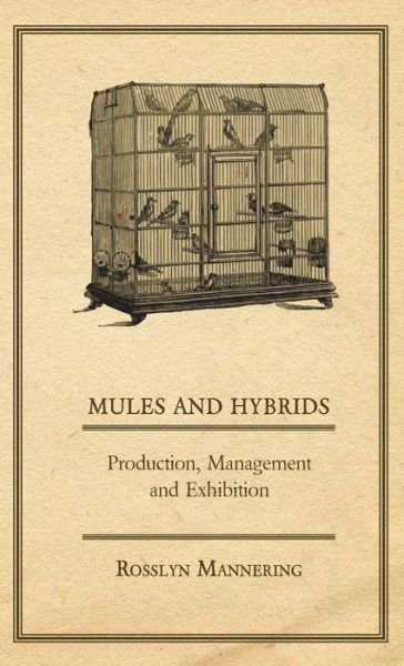 Mules and Hybrids - Production, Management, & Exhibition - Rosslyn Mannering - Books - Hesperides Press - 9781443735162 - November 17, 2008