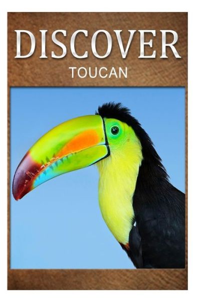 Cover for Discover Press · Toucan - Discover: Early Reader's Wildlife Photography Book (Taschenbuch) (2014)