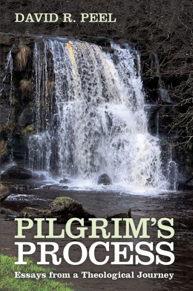 Cover for David R Peel · Pilgrim's Process: Essays from a Theological Journey (Paperback Book) (2021)