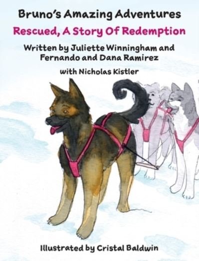 Cover for Juliette Winningham · Rescued, A Story Of Redemption - Bruno's Amazing Adventures (Hardcover Book) (2020)