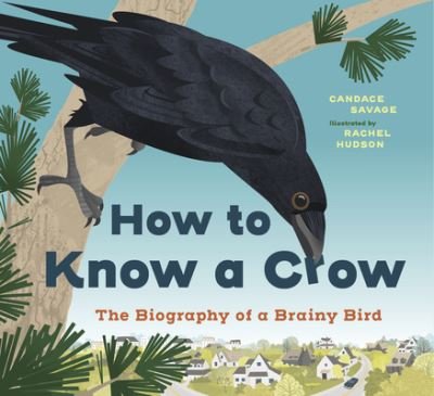 Cover for Candace Savage · How to Know a Crow: The Biography of a Brainy Bird (Hardcover Book) (2024)