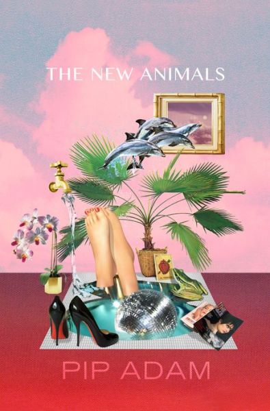 Cover for Pip Adam · The New Animals (Paperback Book) (2017)