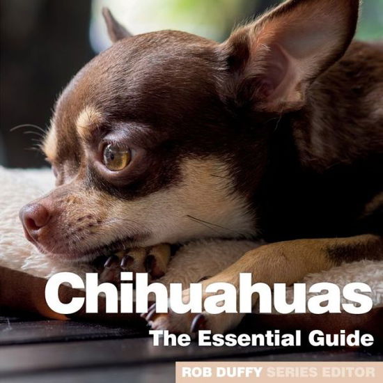 Chichuahuas: The Essential Guide - Rob Duffy - Books - BX Plans Ltd - 9781913296162 - March 31, 2020