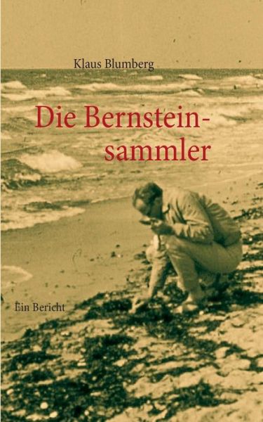Cover for Klaus Blumberg · Die Bernsteinsammler (Paperback Book) [German edition] (2013)
