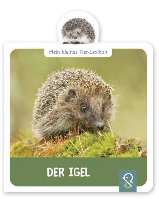 Cover for Kastenhuber · Der Igel (Book)