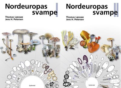 Nordeuropas svampe 1-2 - Jens H. Petersen; Thomas Læssøe - Livros - Gyldendal - 9788702176162 - 20 de agosto de 2019