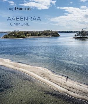 Cover for Trap Danmark · Trap Danmark: Aabenraa Kommune (Paperback Book) [1. Painos] (2021)