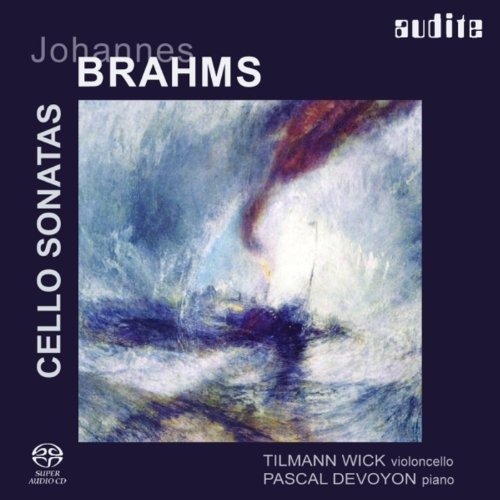 Cello Sonatas - Brahms Johannes - Música - AUD - 0402143925163 - 1 de julio de 2004