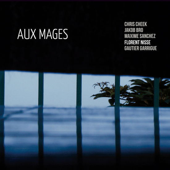 Cover for Florent Nisse · Aux Mages (CD) (2014)