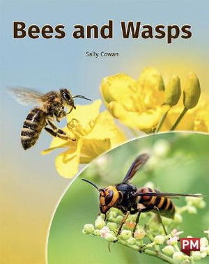 Cover for Sally Cowan · Bees and Wasps (Paperback Book)