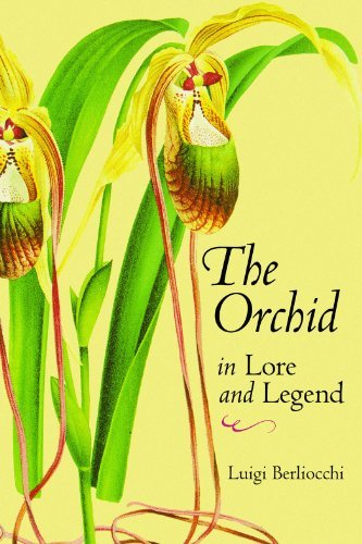 Cover for Luigi Berliocchi · The Orchid in Lore and Legend (Paperback Bog) (2010)