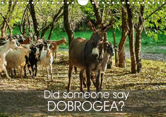Did someone say Dobrogea? (Wall Ca - Eyes - Bøker -  - 9781325535163 - 