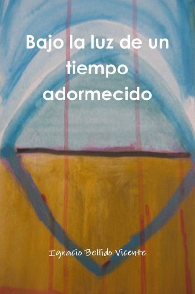 Cover for Ignacio Bellido Vicente · Bajo La Luz De Un Tiempo Adormecido (Pocketbok) (2016)
