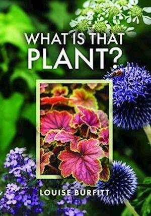 Cover for Louise Burfitt · What is that Plant? (Hardcover Book) (2023)